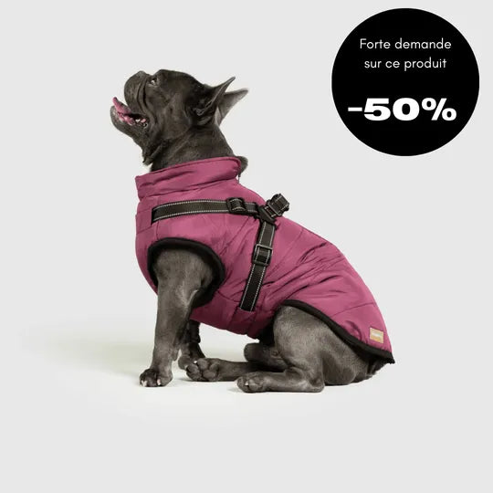 Veste d’hiver 2 en 1 pour chien