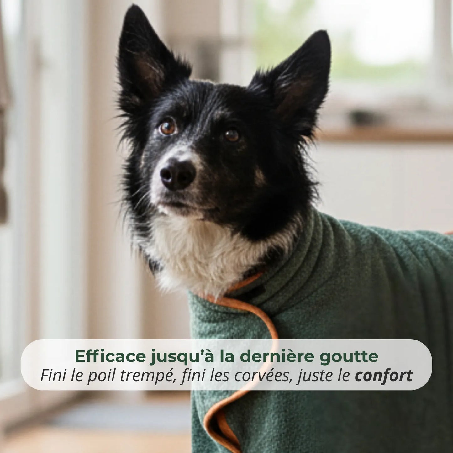 Trocknender Mantel für Hunde + Handtuch