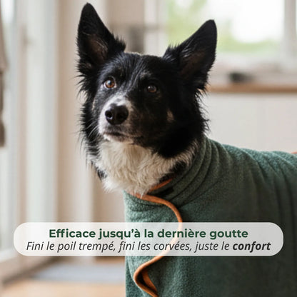Trocknender Mantel für Hunde + Handtuch