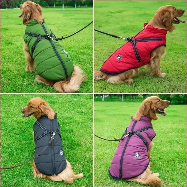 Hundemantel mit integriertem Geschirr
