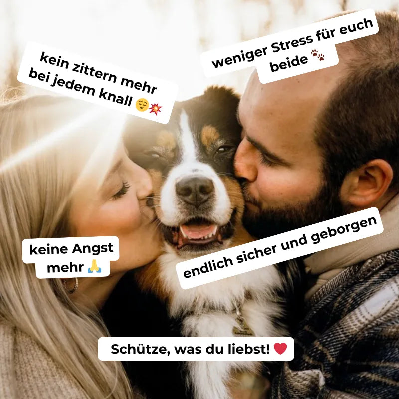 Gehörschutz für Hunde