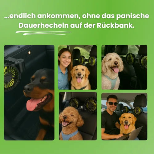 Ventilateur pour chien pour la voiture