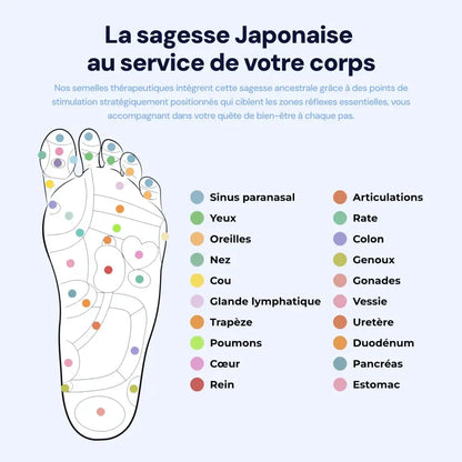 Semelles magnétiques de confort