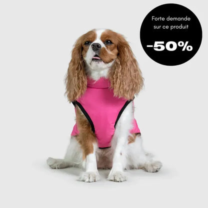 Veste d’hiver 2 en 1 pour chien