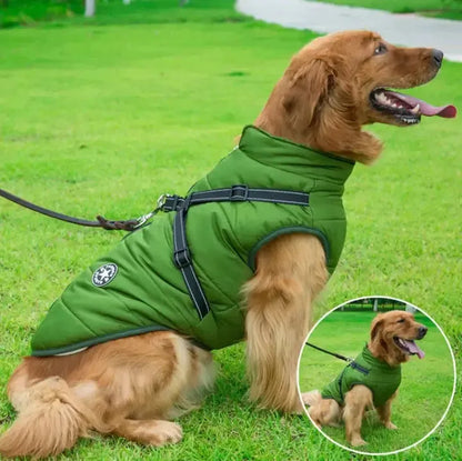 Hundemantel mit integriertem Geschirr