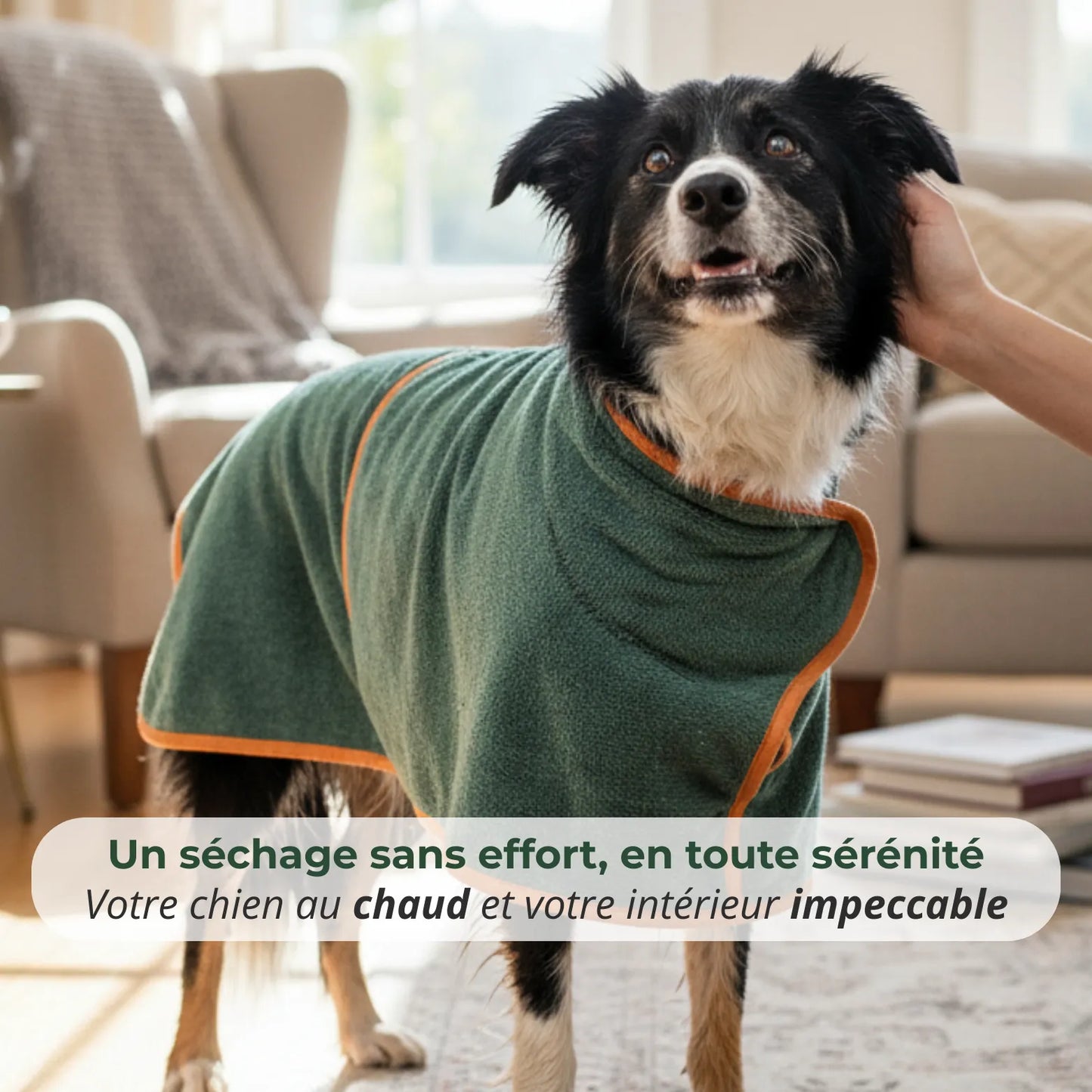 Trocknender Mantel für Hunde + Handtuch
