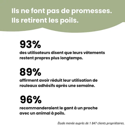 Gant anti-poils réutilisable