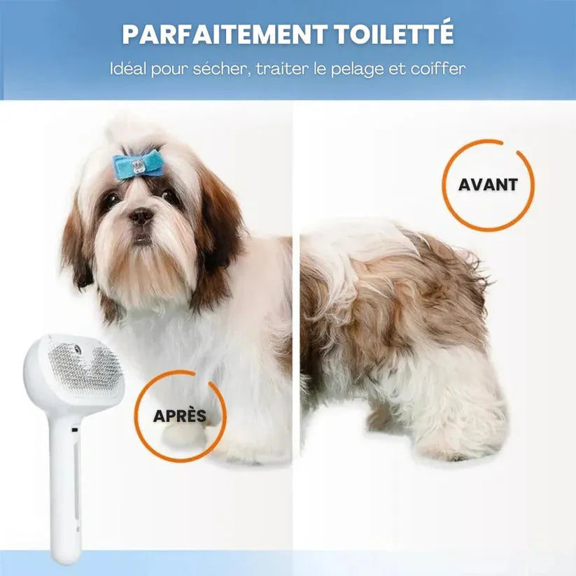 VapoBrosse ActivPet – Toilettage Facile et Efficace