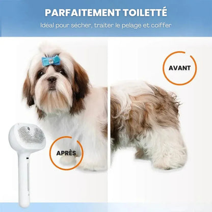 VapoBrosse ActivPet – Toilettage Facile et Efficace