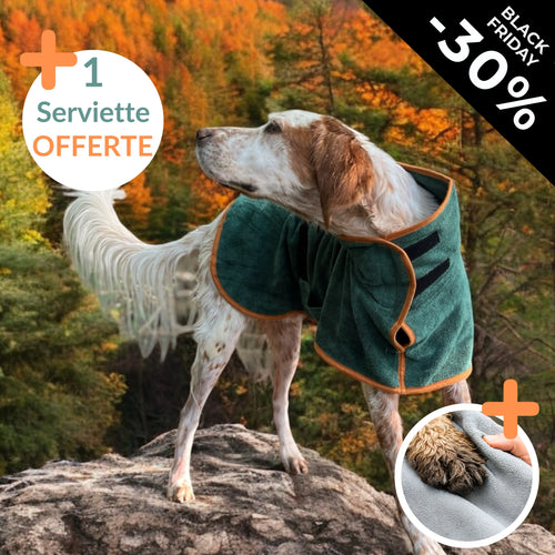 Trocknender Mantel für Hunde + Handtuch