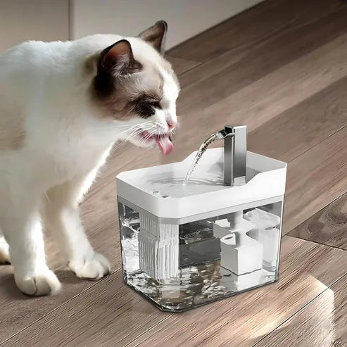 Fontaine à eau pour chats & chiens