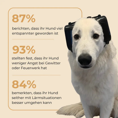 Gehörschutz für Hunde