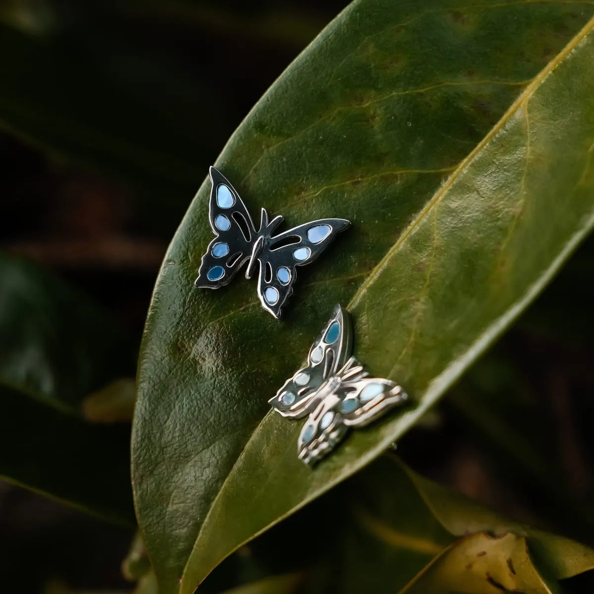 Schmetterling Ohrringe