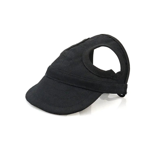 Casquette pour chien