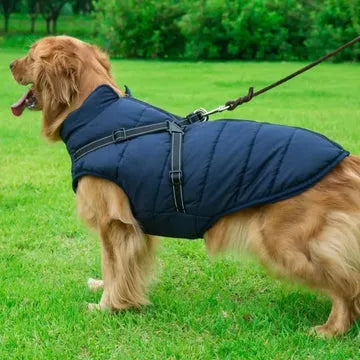 Veste d’hiver 2 en 1 pour chien