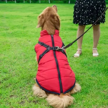 Veste d’hiver 2 en 1 pour chien