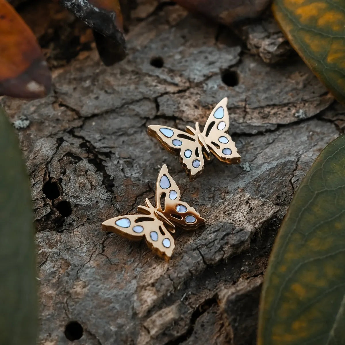 Schmetterling Ohrringe