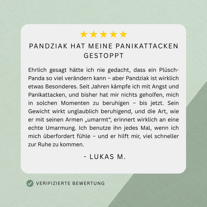 Gewichtetes Plüschtier Panda
