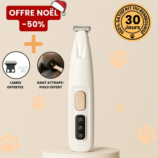 Tondeuse de précision pour chat