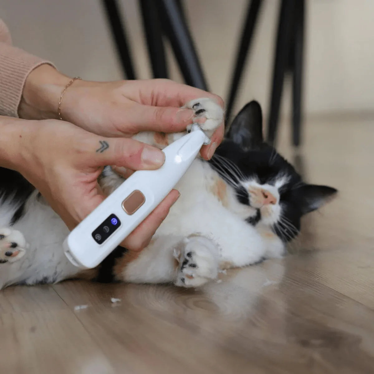 Tondeuse silencieuse pour chats