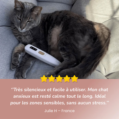 Tondeuse silencieuse pour chats