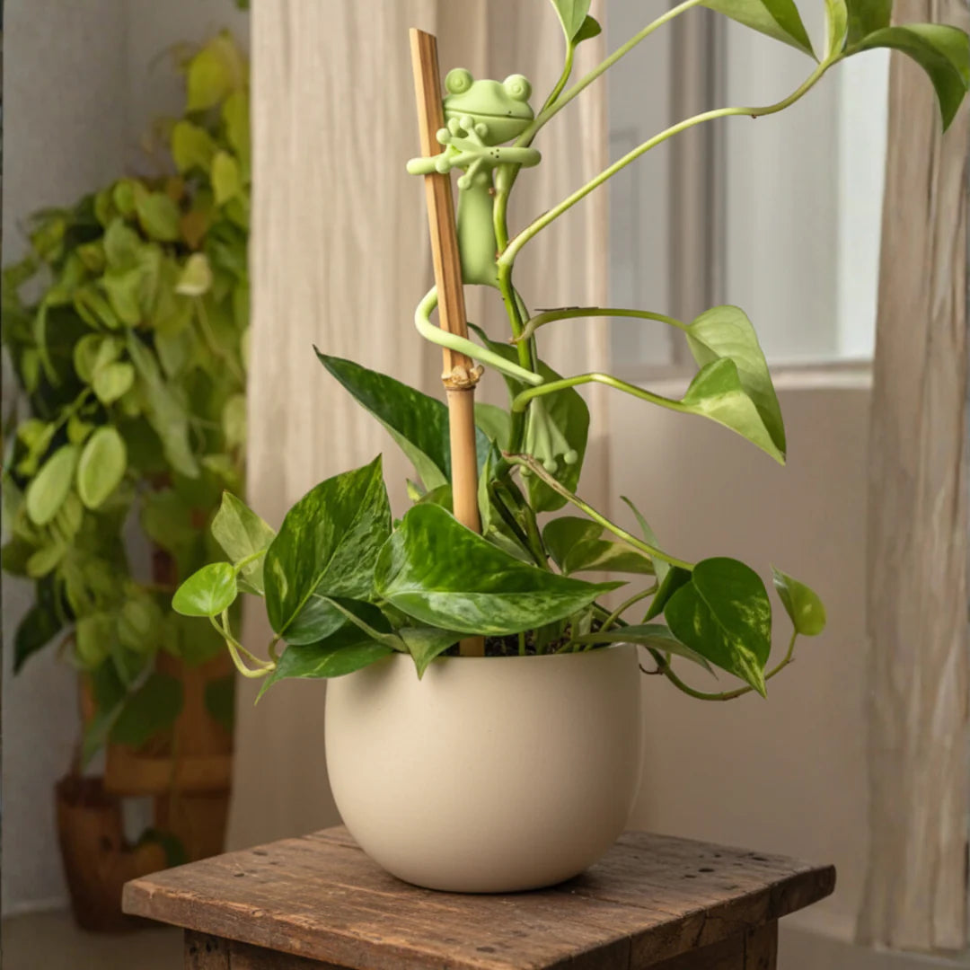 Pflanzenstütze „Frosch“