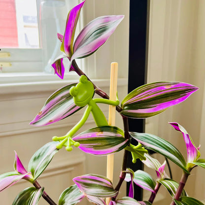 Pflanzenstütze „Frosch“