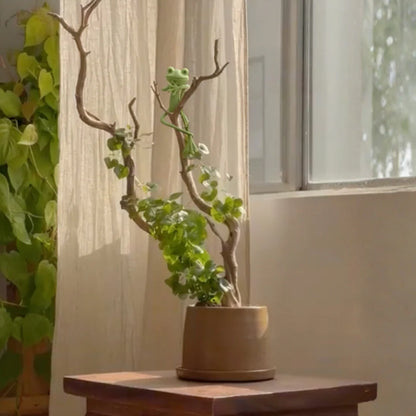 Pflanzenstütze „Frosch“