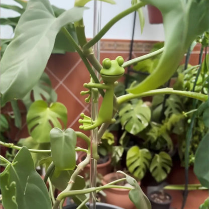 Pflanzenstütze „Frosch“