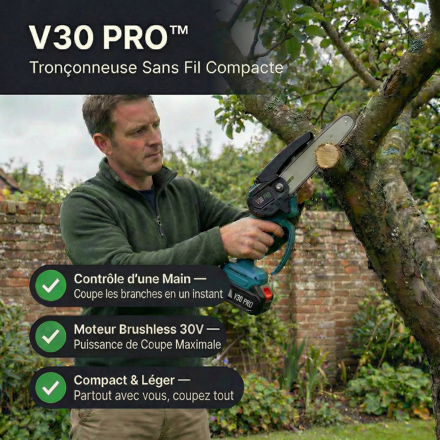 Elektrische Minikettensäge V30 Pro