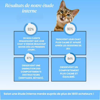 Interaktive Spielmatte für Katzen