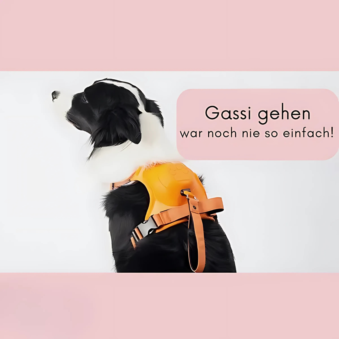 2-in-1 Hundegeschirr mit Frontclip