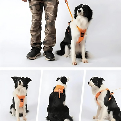 2-in-1 Hundegeschirr mit Frontclip
