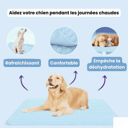 Selbstkühlende Matratze für Hunde