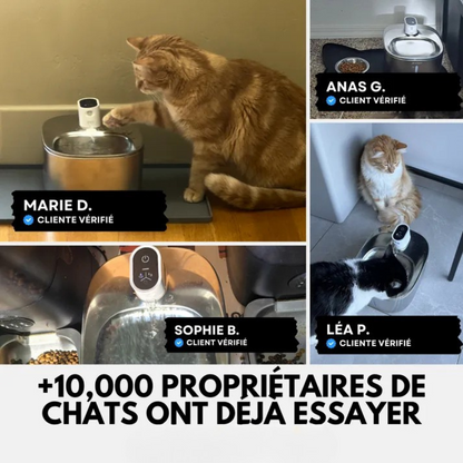 Wasserspender für Katzen aus Edelstahl