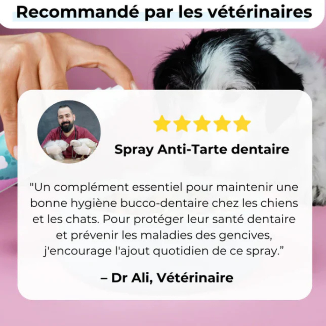 Natürliches Zahnspray für Hunde - Anti-Karies & frischer Atem