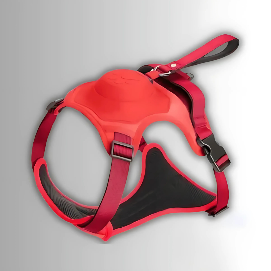 2-in-1 Hundegeschirr mit Frontclip
