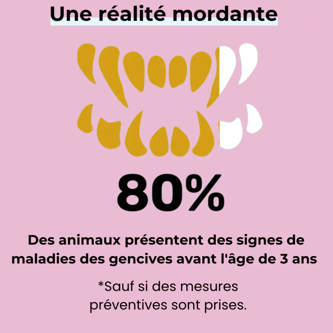 Natürliches Zahnspray für Hunde - Anti-Karies & frischer Atem