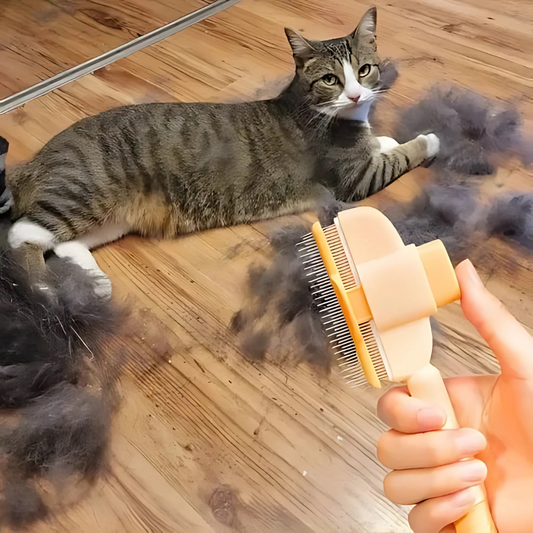 Anti-Haar-Bürste für Tiere