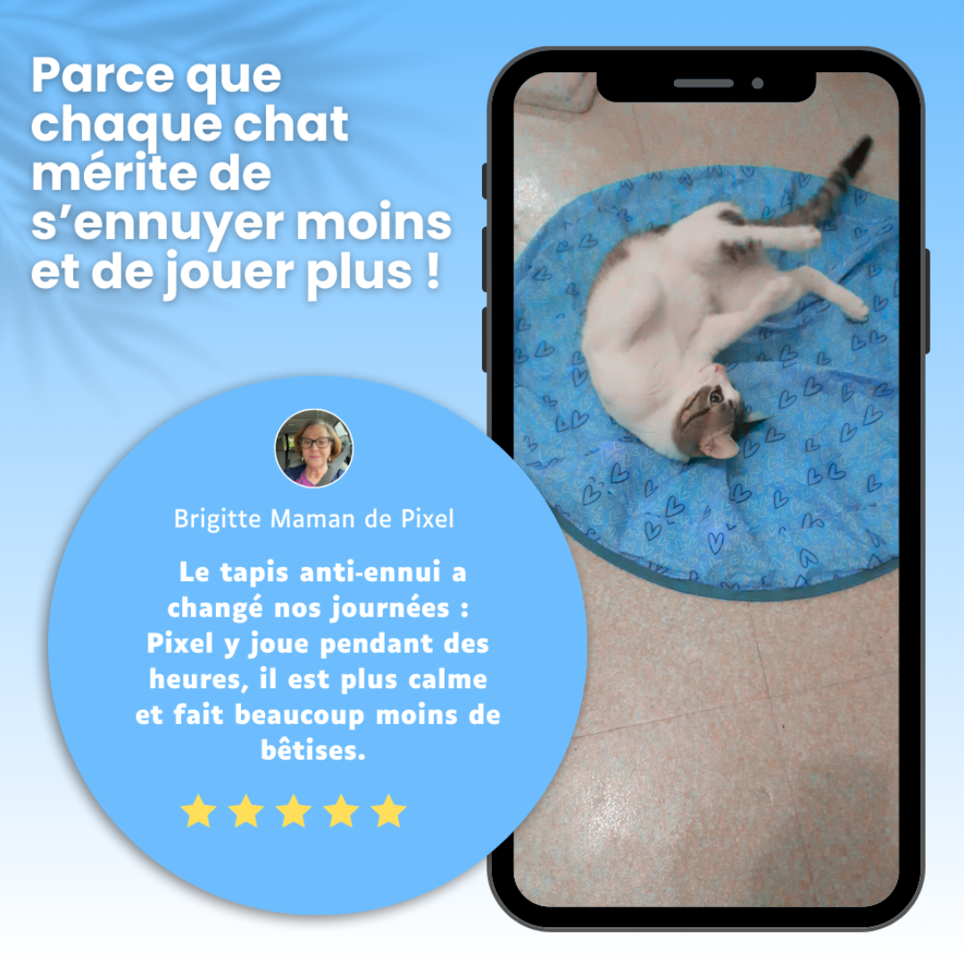 Interaktive Spielmatte für Katzen