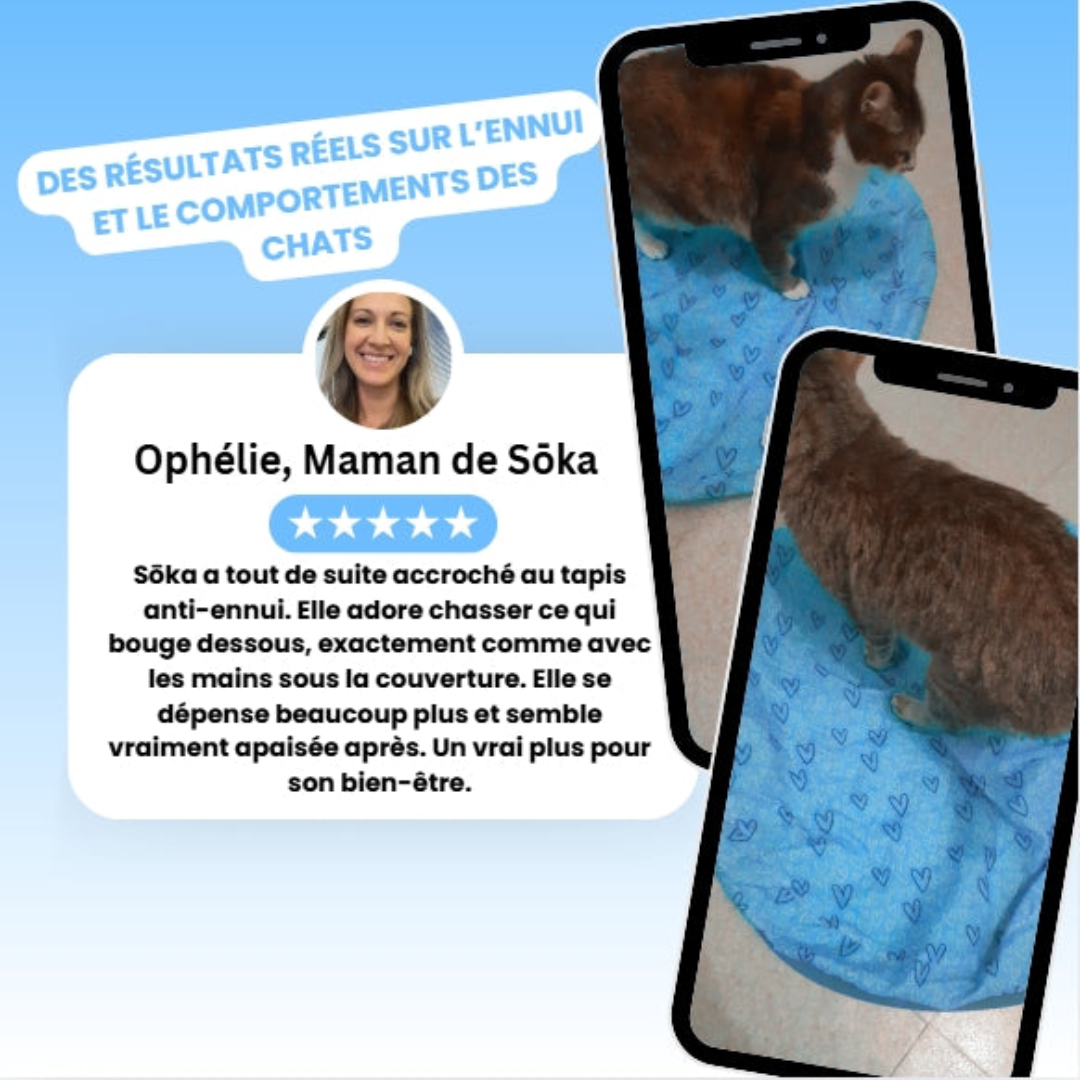 Interaktive Spielmatte für Katzen