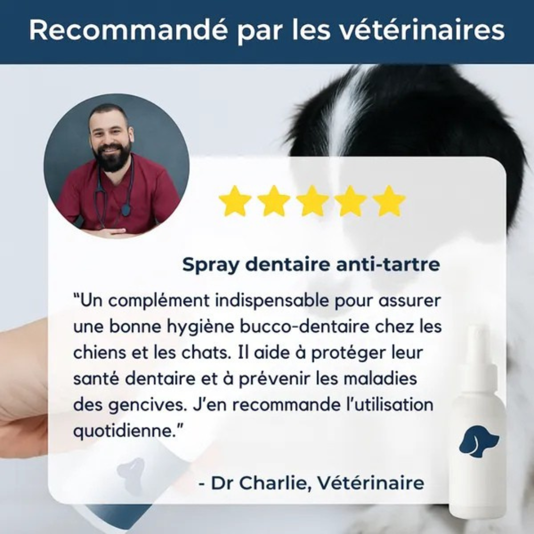 Anti-Zahnstein-Zahnspray für Hunde