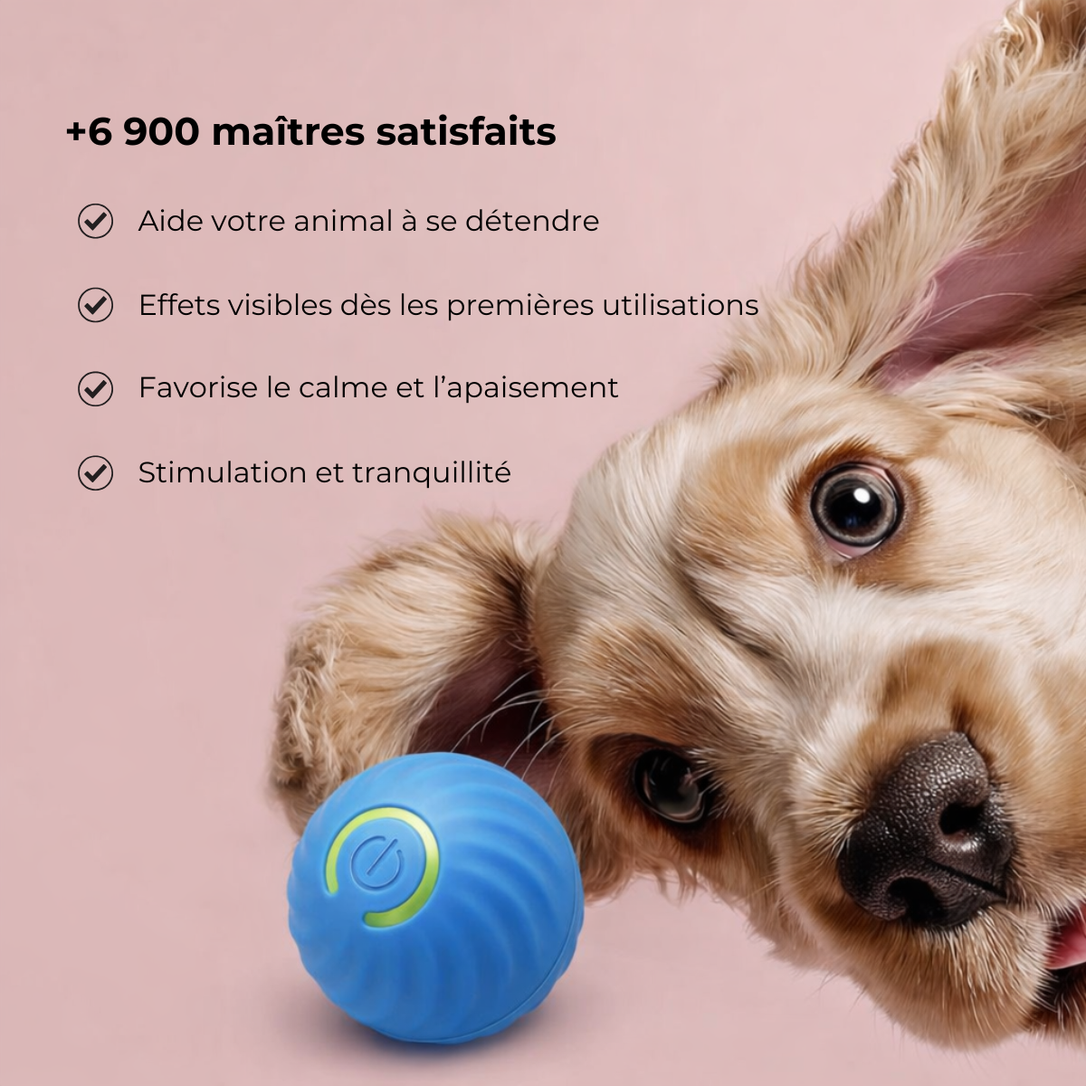 Interaktiver beruhigender Ball für Hunde