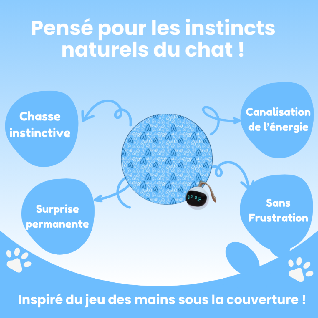 Interaktive Spielmatte für Katzen