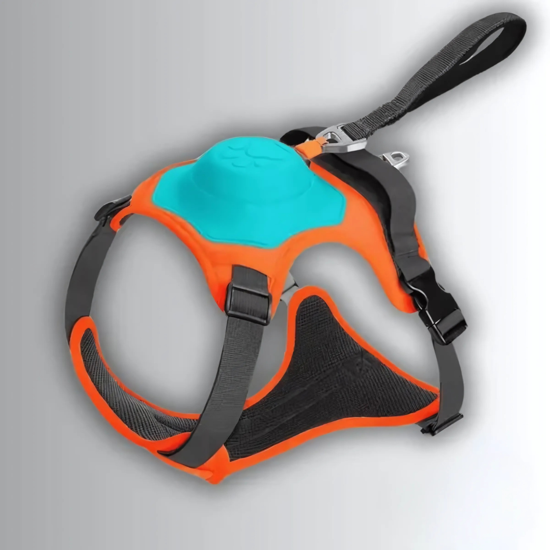 2-in-1 Hundegeschirr mit Frontclip