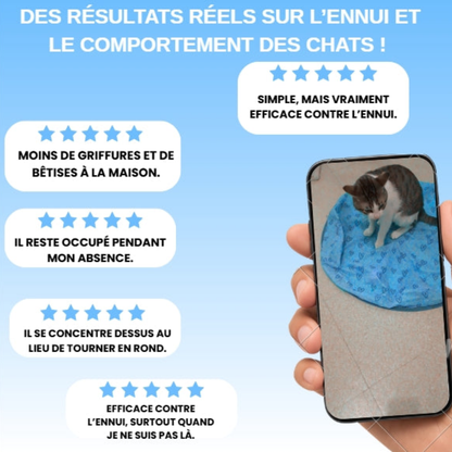 Interaktive Spielmatte für Katzen