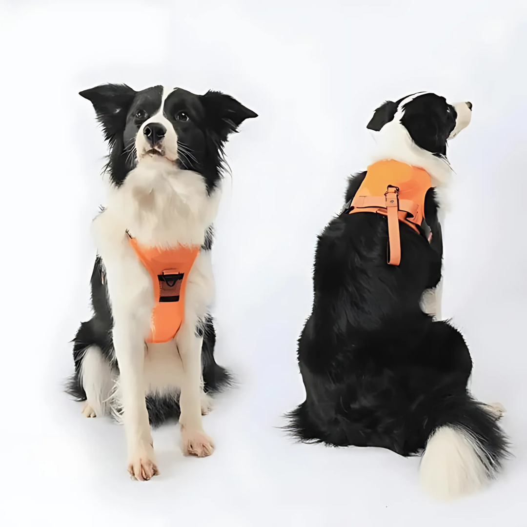 2-in-1 Hundegeschirr mit Frontclip