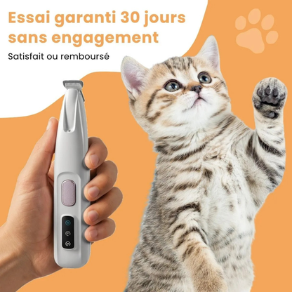 Präzisionsschermaschine für Katzen