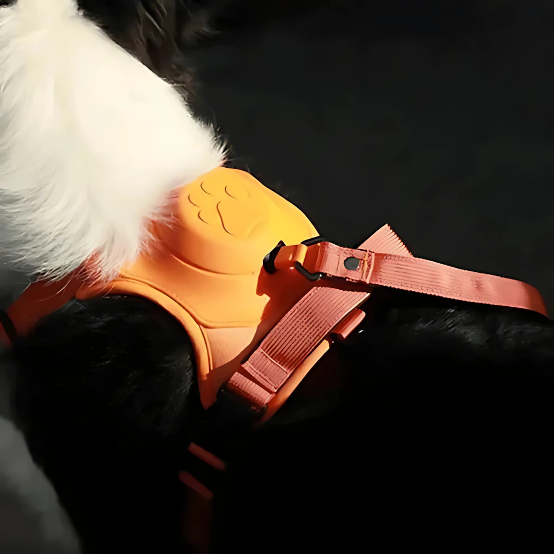 2-in-1 Hundegeschirr mit Frontclip