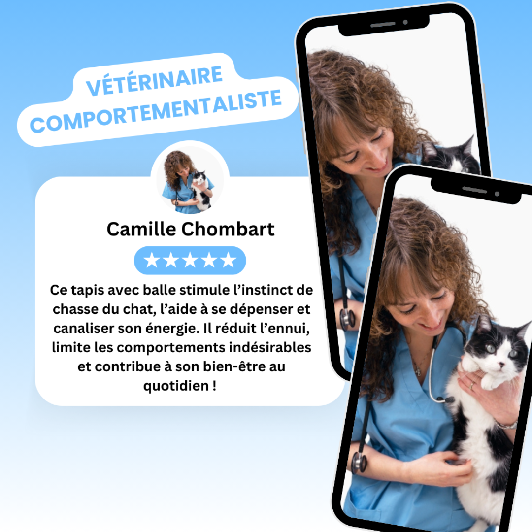 Interaktive Spielmatte für Katzen